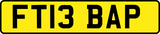 FT13BAP