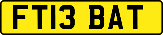FT13BAT