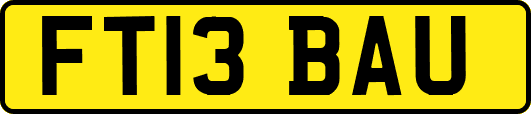 FT13BAU