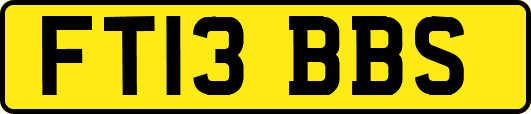 FT13BBS