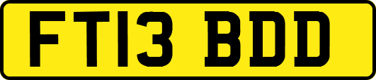 FT13BDD