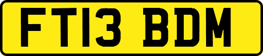 FT13BDM