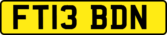 FT13BDN