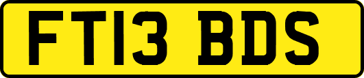 FT13BDS