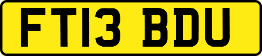 FT13BDU