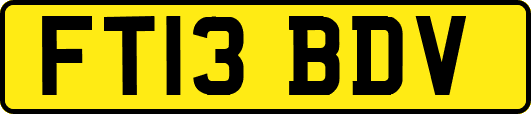 FT13BDV