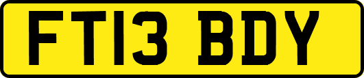 FT13BDY