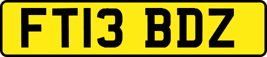 FT13BDZ