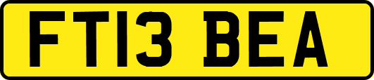 FT13BEA