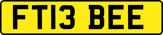 FT13BEE