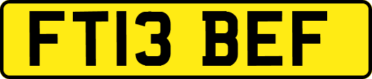 FT13BEF