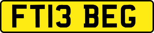 FT13BEG