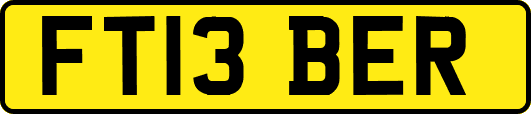 FT13BER