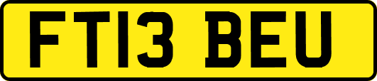 FT13BEU