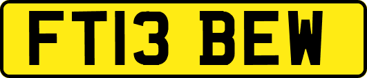 FT13BEW