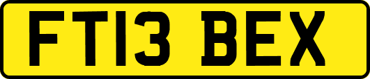 FT13BEX
