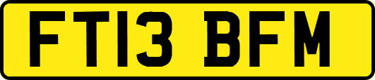 FT13BFM