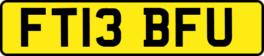FT13BFU