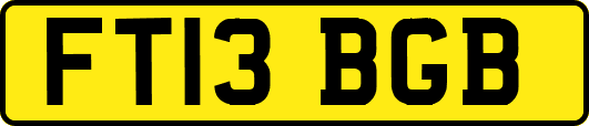 FT13BGB