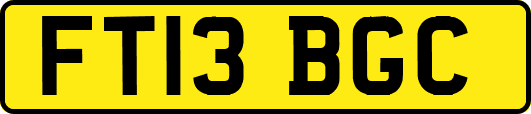 FT13BGC