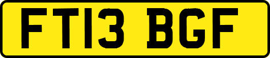 FT13BGF