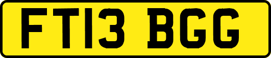 FT13BGG