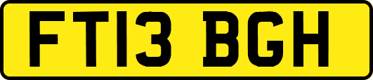 FT13BGH