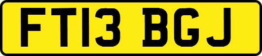 FT13BGJ