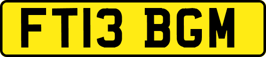 FT13BGM