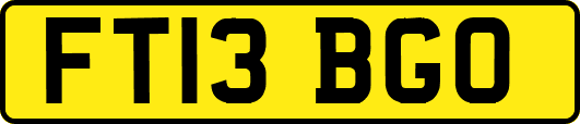 FT13BGO