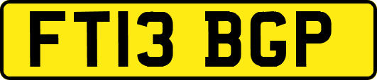 FT13BGP