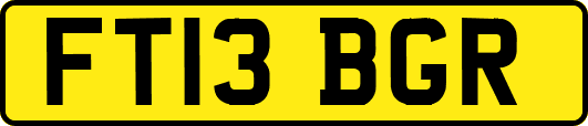 FT13BGR