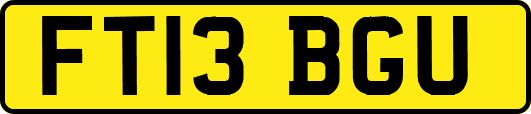 FT13BGU