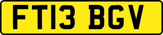 FT13BGV