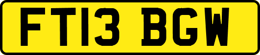 FT13BGW