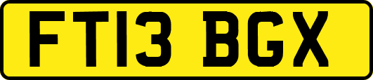 FT13BGX