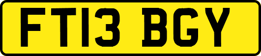 FT13BGY