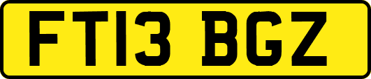 FT13BGZ