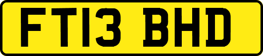 FT13BHD
