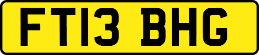 FT13BHG
