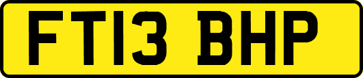FT13BHP