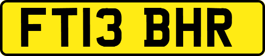 FT13BHR