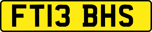FT13BHS