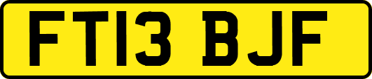 FT13BJF