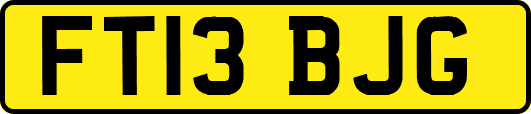 FT13BJG