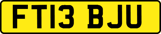FT13BJU