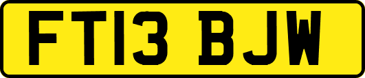 FT13BJW