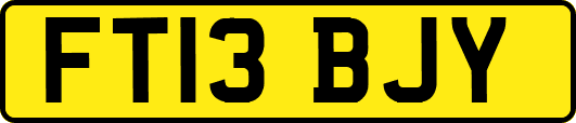 FT13BJY