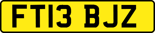 FT13BJZ