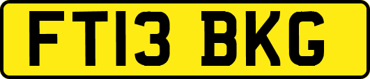 FT13BKG